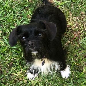 Meet your Posher, Ellen